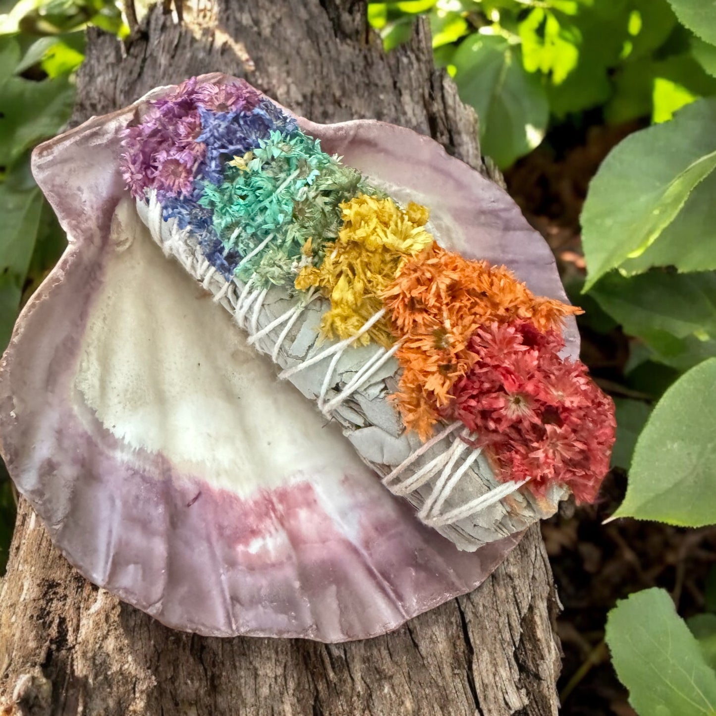 Colorful Sage Chakra Smudging Kit
