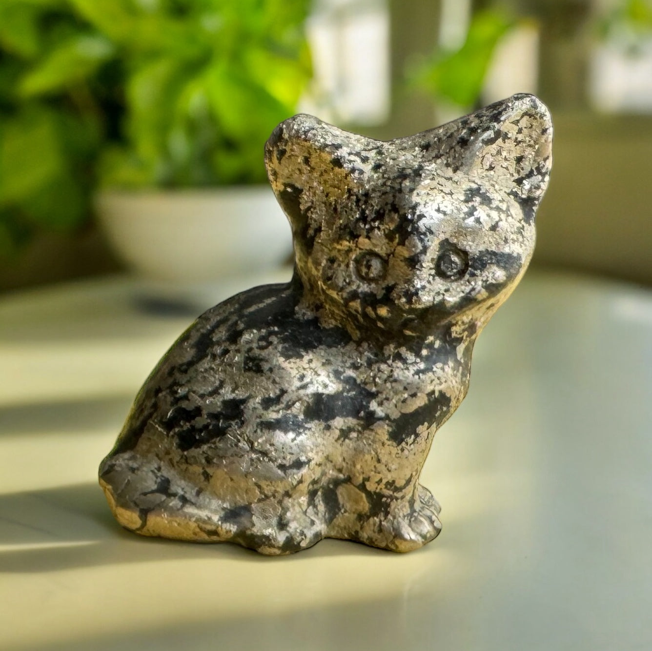 Pyrite Cats
