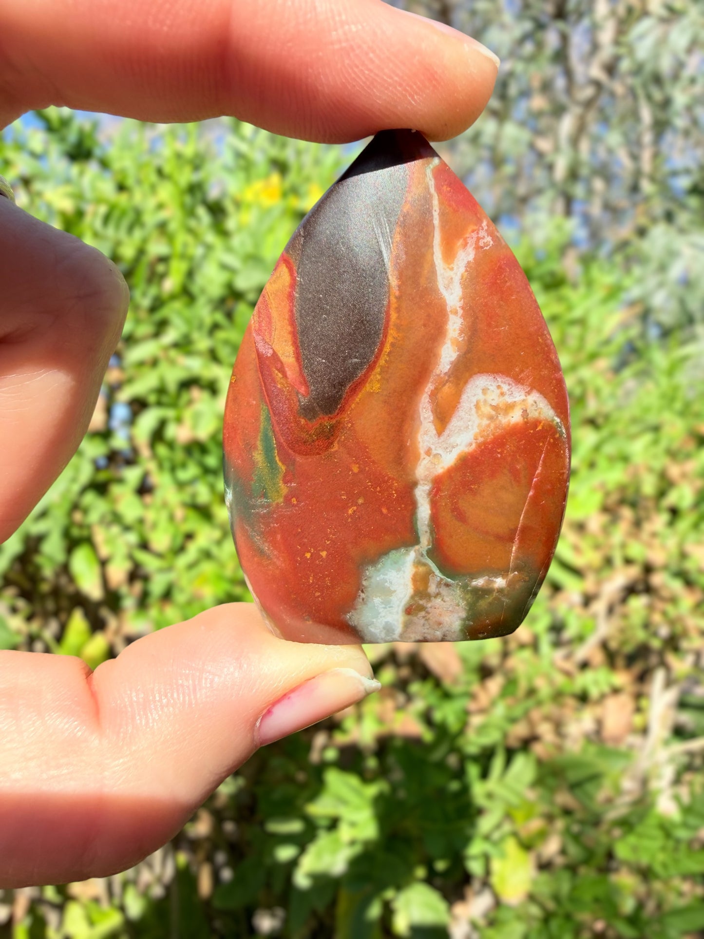 Polychrome Jasper Freeform