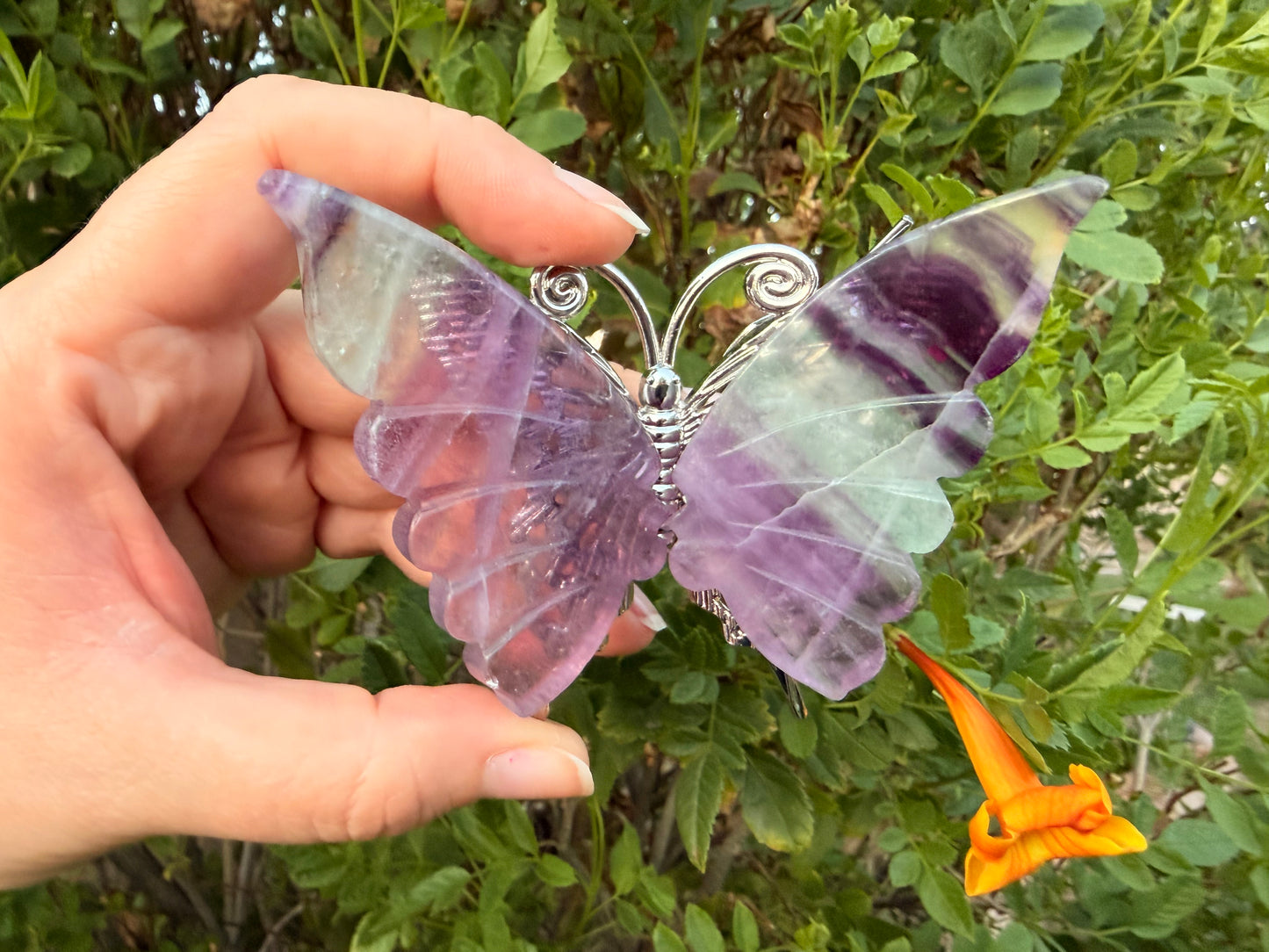 Fluorite Butterflies