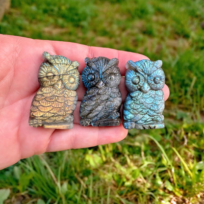 Labradorite Owls