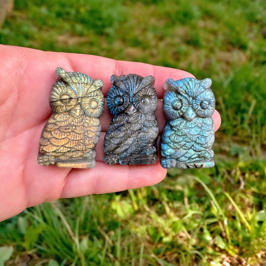 Labradorite Owls