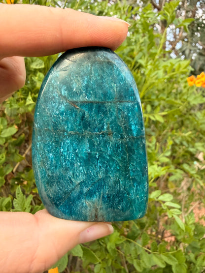 Apatite Freeform