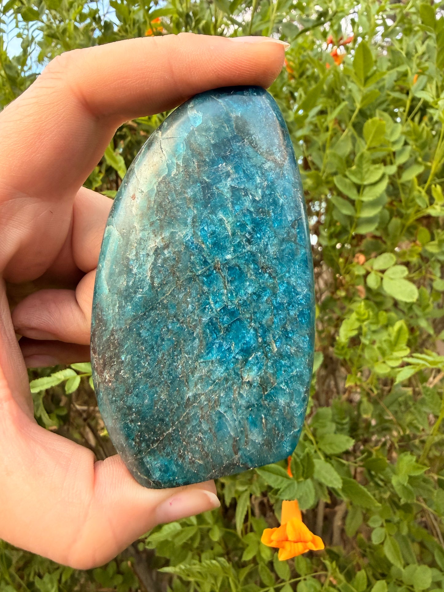 Apatite Freeform