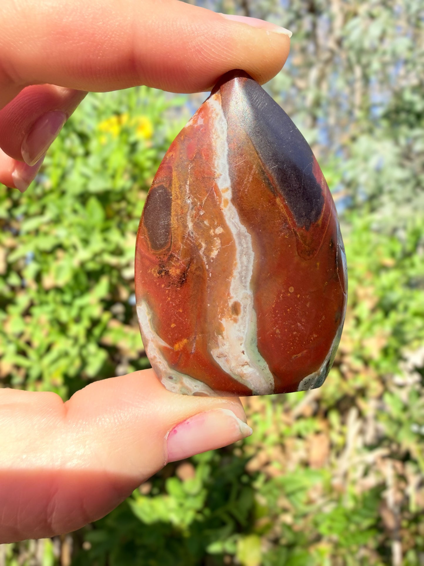 Polychrome Jasper Freeform