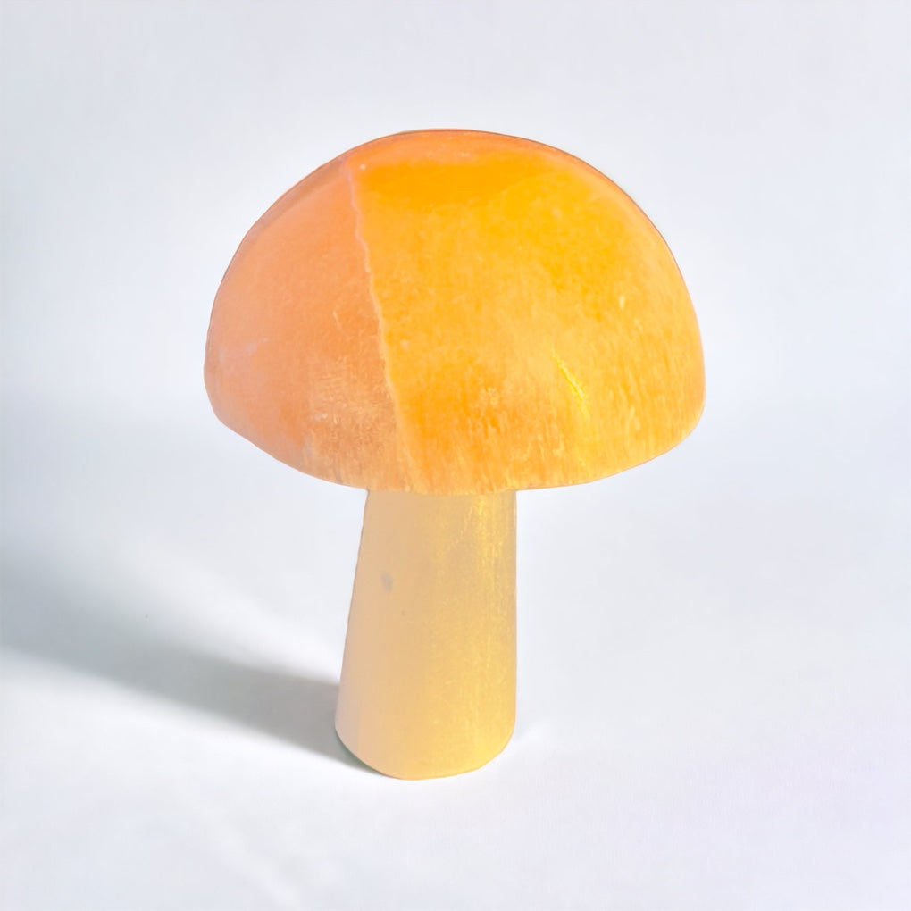 Selenite Mushroom