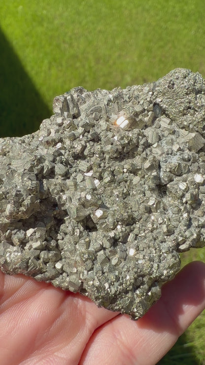 Golden Pyrite Cluster