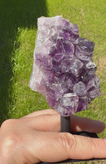 Standing Amethyst Cluster