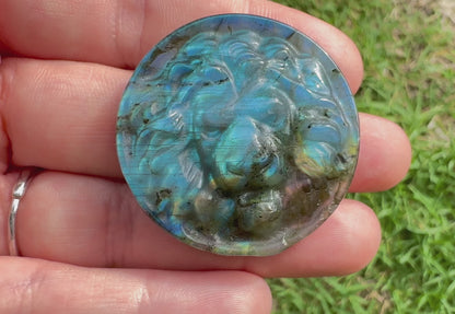 Labradorite Lion