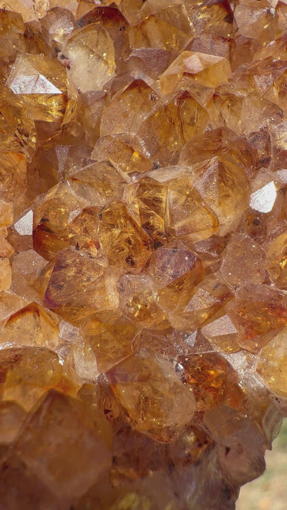 Golden Citrine Cluster