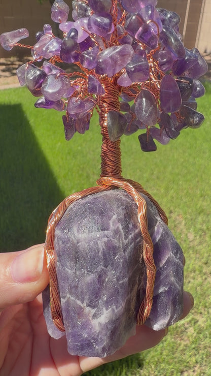 Amethyst: Tree of Calm & Protection