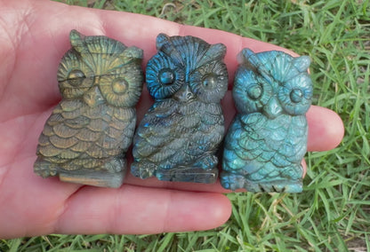 Labradorite Owls