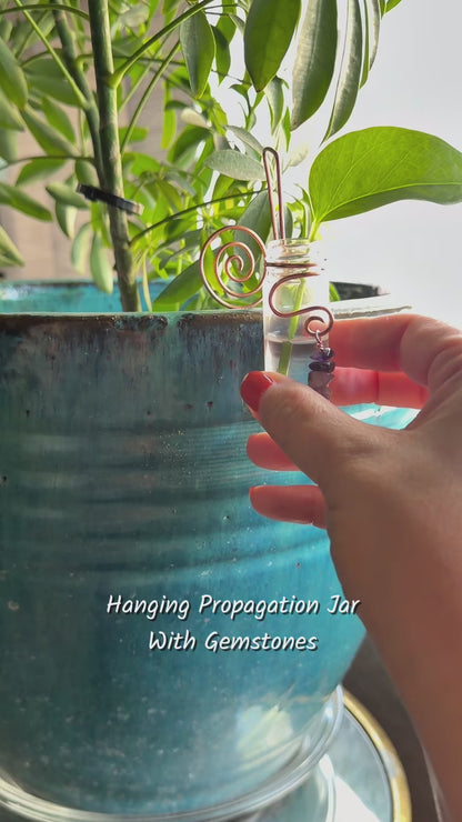 Gemstone Plant Propagation Jar