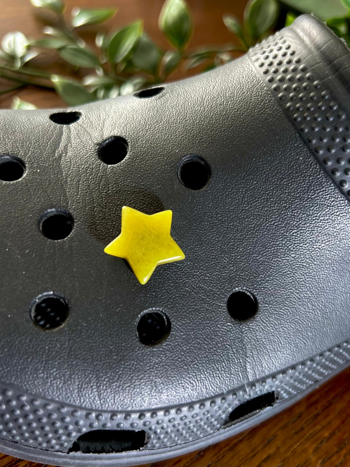 Serpentine Star Croc Charm